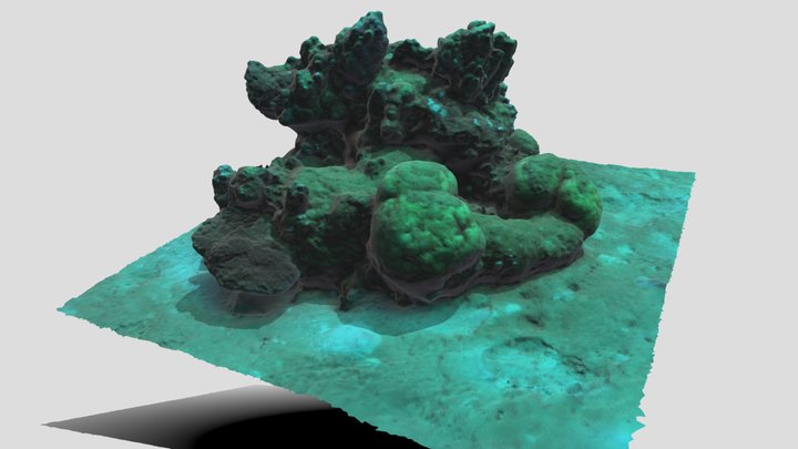 Nakari-Reefblock 3D Model