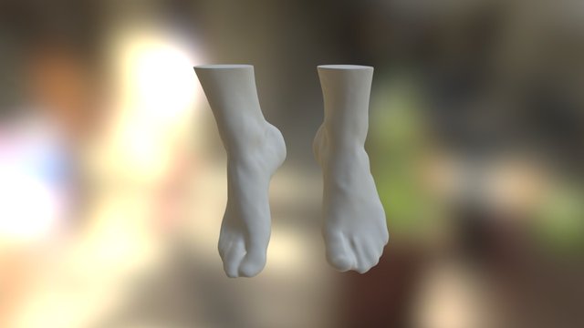 Troy's Feet Smooth 3D Model