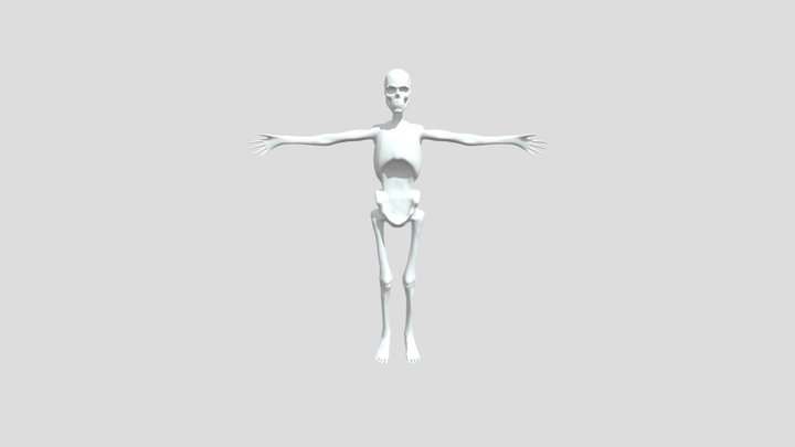 Skeleton 3D Model