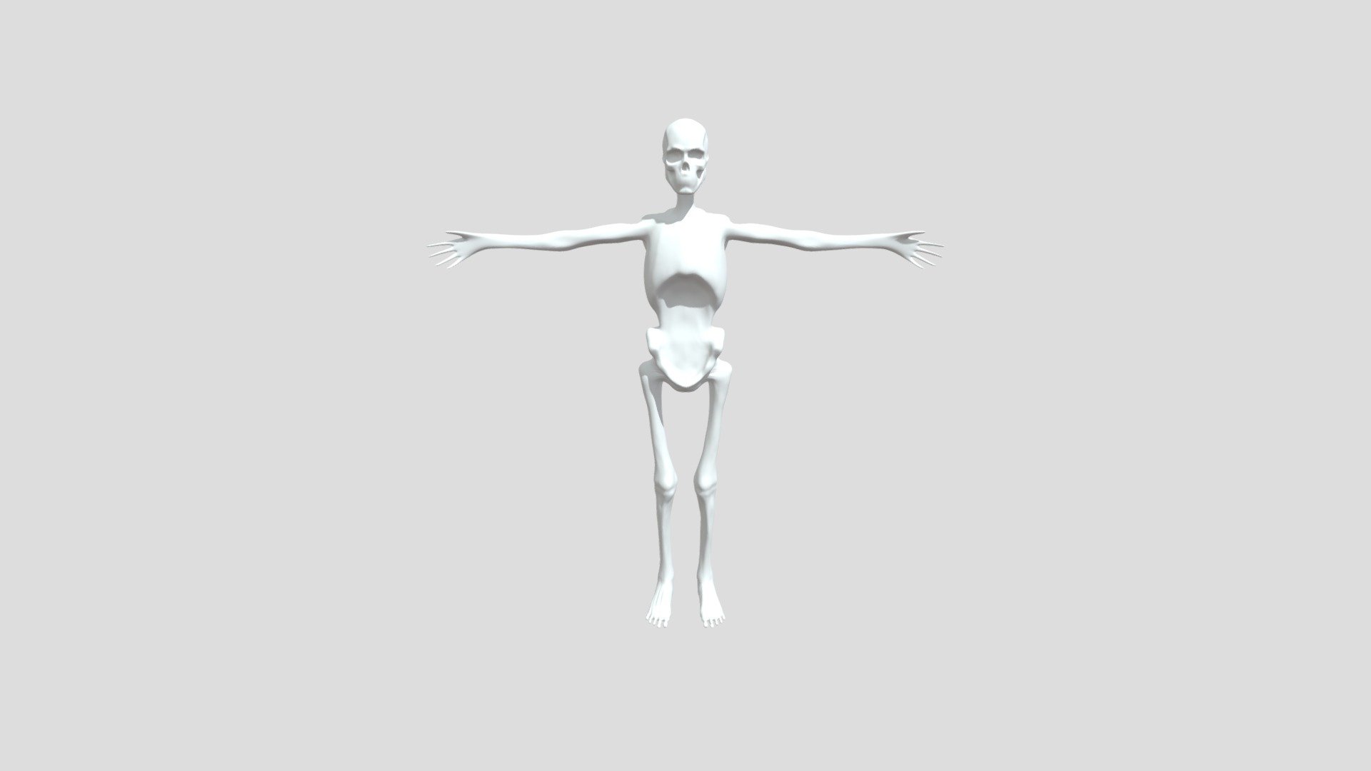 Skeleton