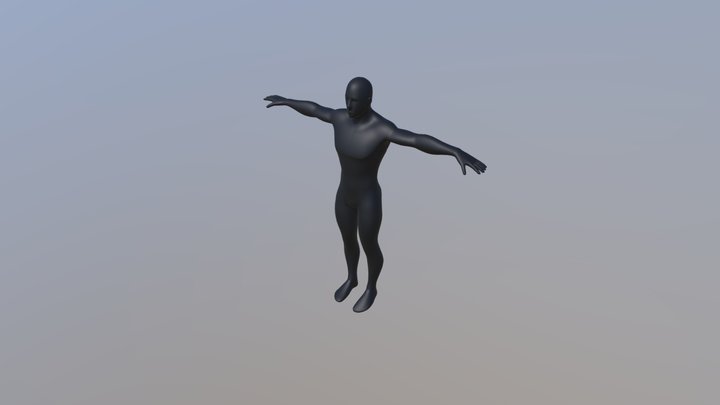 Esqueleto Del Cuerpo Humano 3D Model