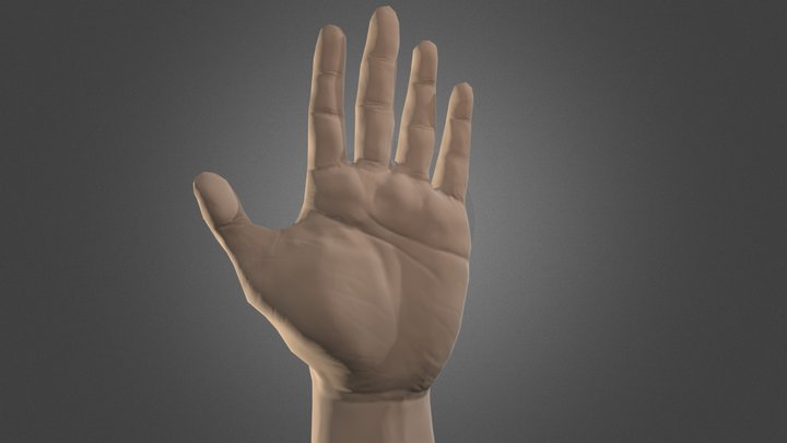 Hand 3D Model