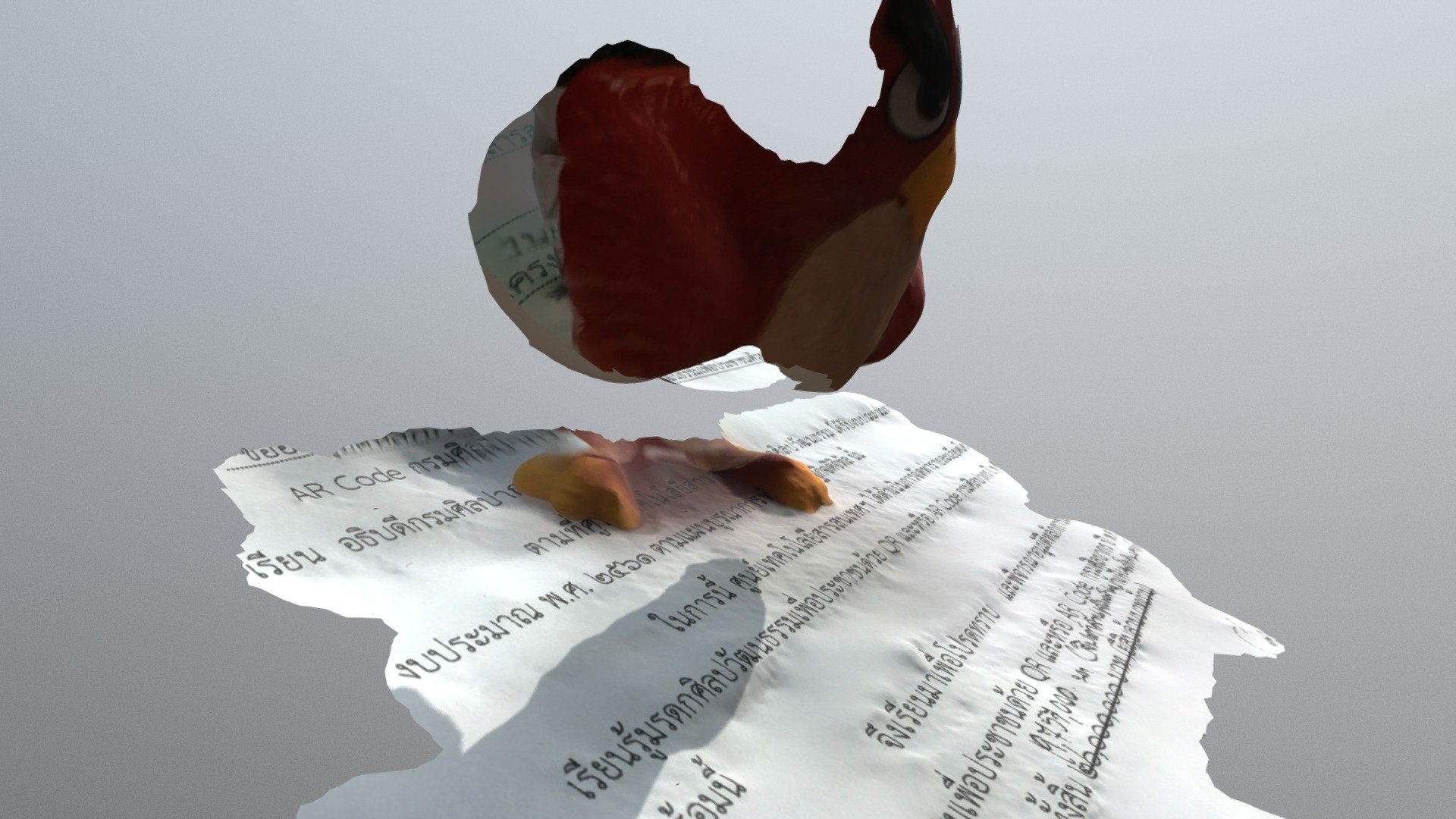 Bird