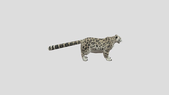 Camouflaged-leopard 3D Model