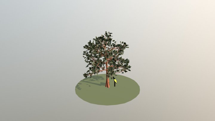 Legacy Tree2 3D Model