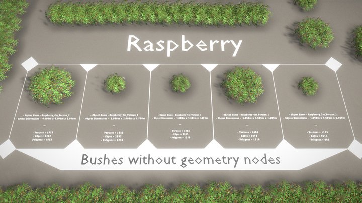 Rasberry Bushes and Hedges (Low-Poly) 3D Model
