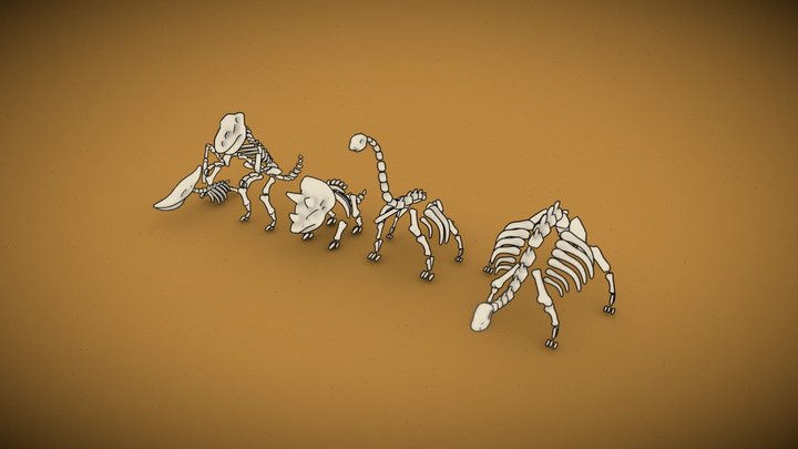 Dinosaur Skeletons Lowpoly 3D Model