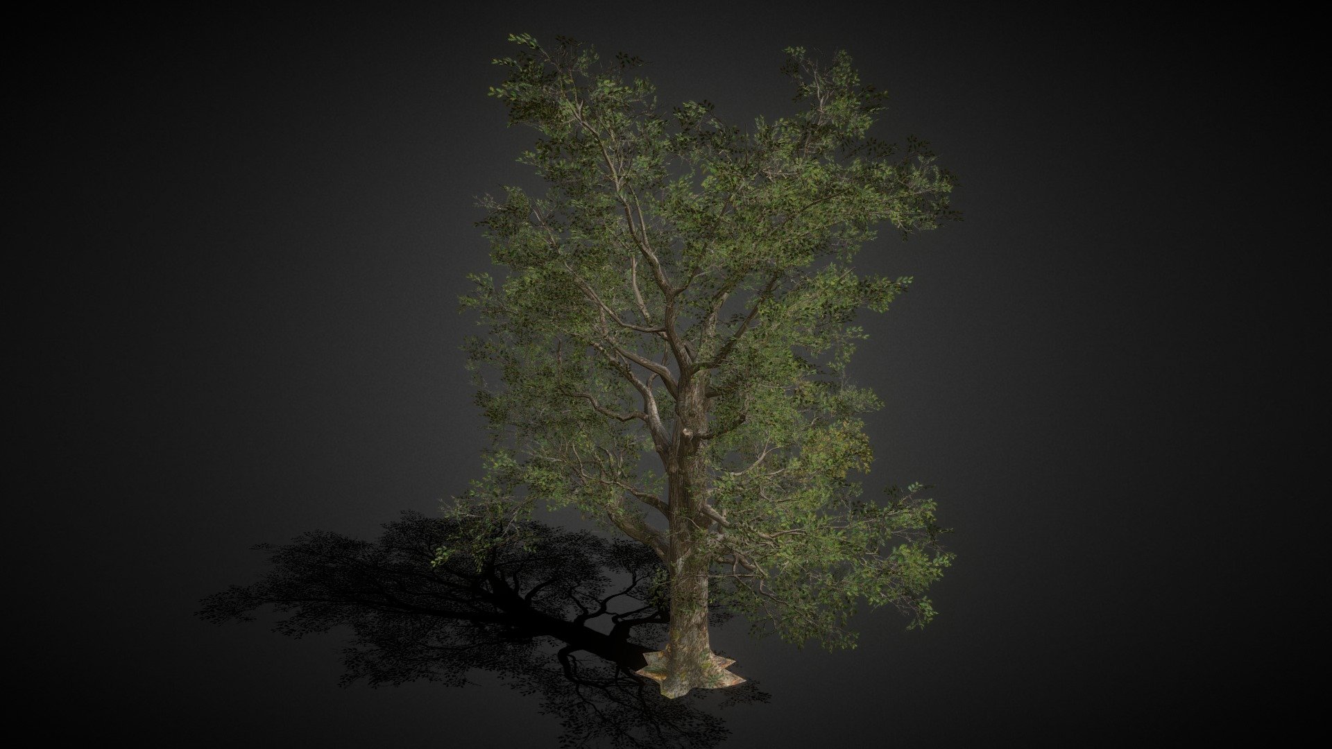 Big Tree 01 - Buy Royalty Free 3D model by Md Waziullah Apu (@ApuArt ...