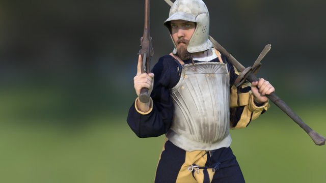 Renaissance Warrior 3D Model