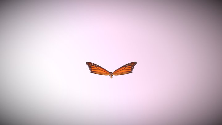 Idl Flight On Spot 3D Model