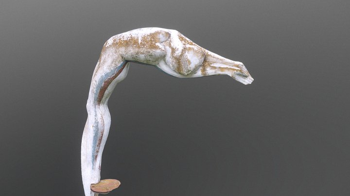 The Diver