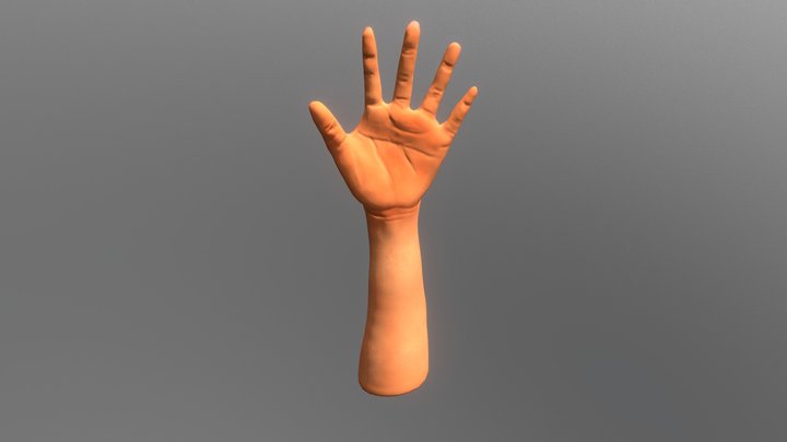 My Left Hand Model 3D Model