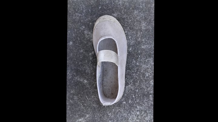 上履き (little slipper) 3D Model