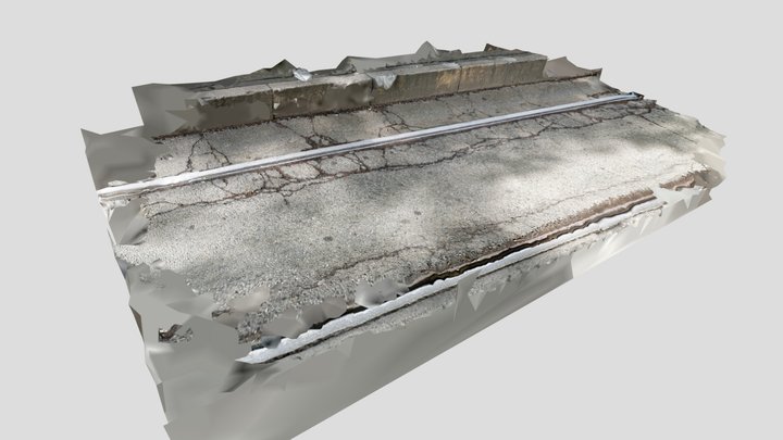 Road Scan with Tram Rail 3D Model
