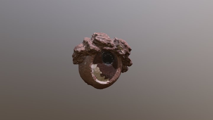 Eye-texture 3D Model