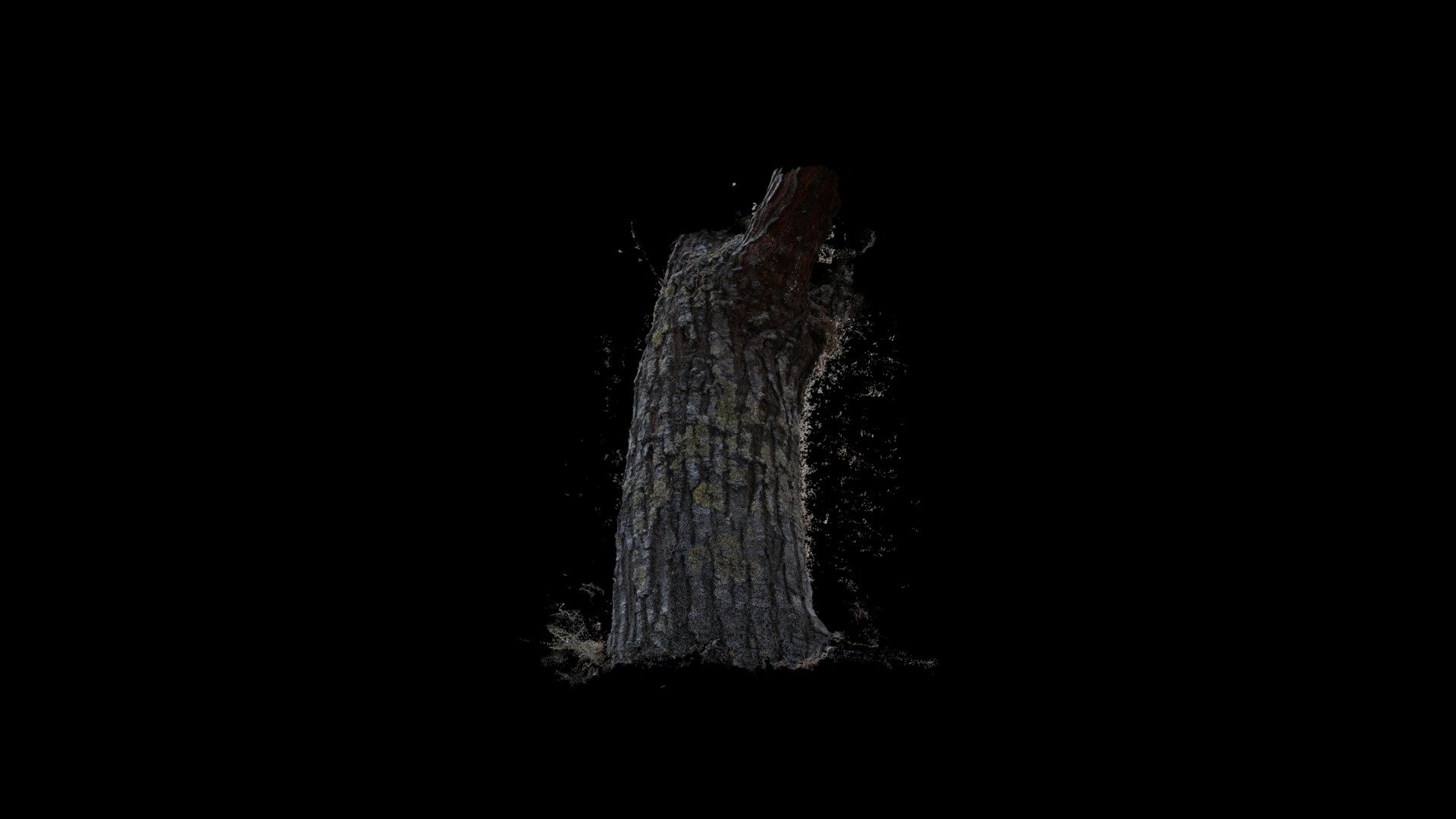 Intsentsu-Sabina / Spanish juniper
