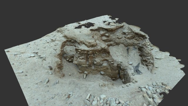 Conchal 3D Model