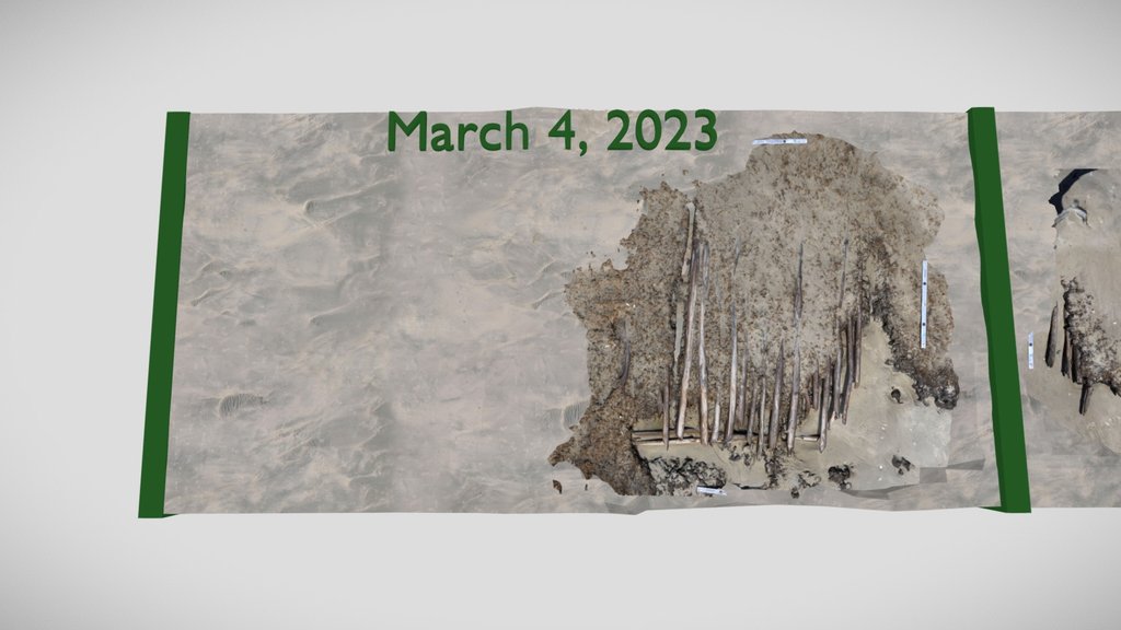 Botany Bay Corduroy Road Timeline