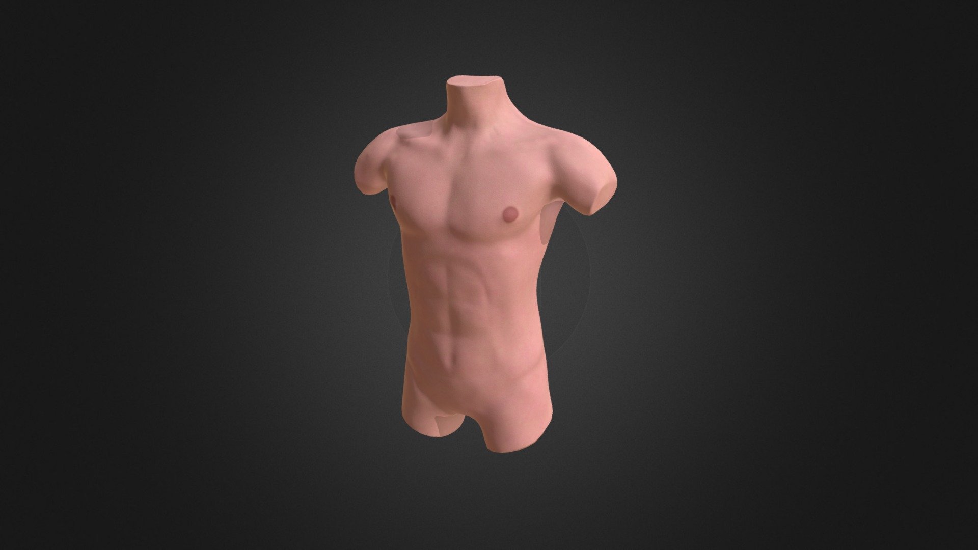 Male Torso