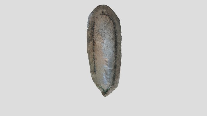 Seaton Carew wreck 3D Model