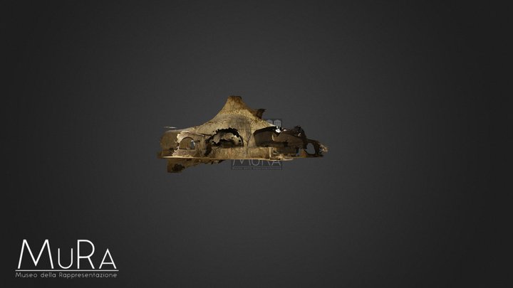 Adelphia 3D Model