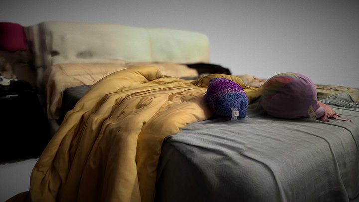 What your bed looks like when you have children 3D Model