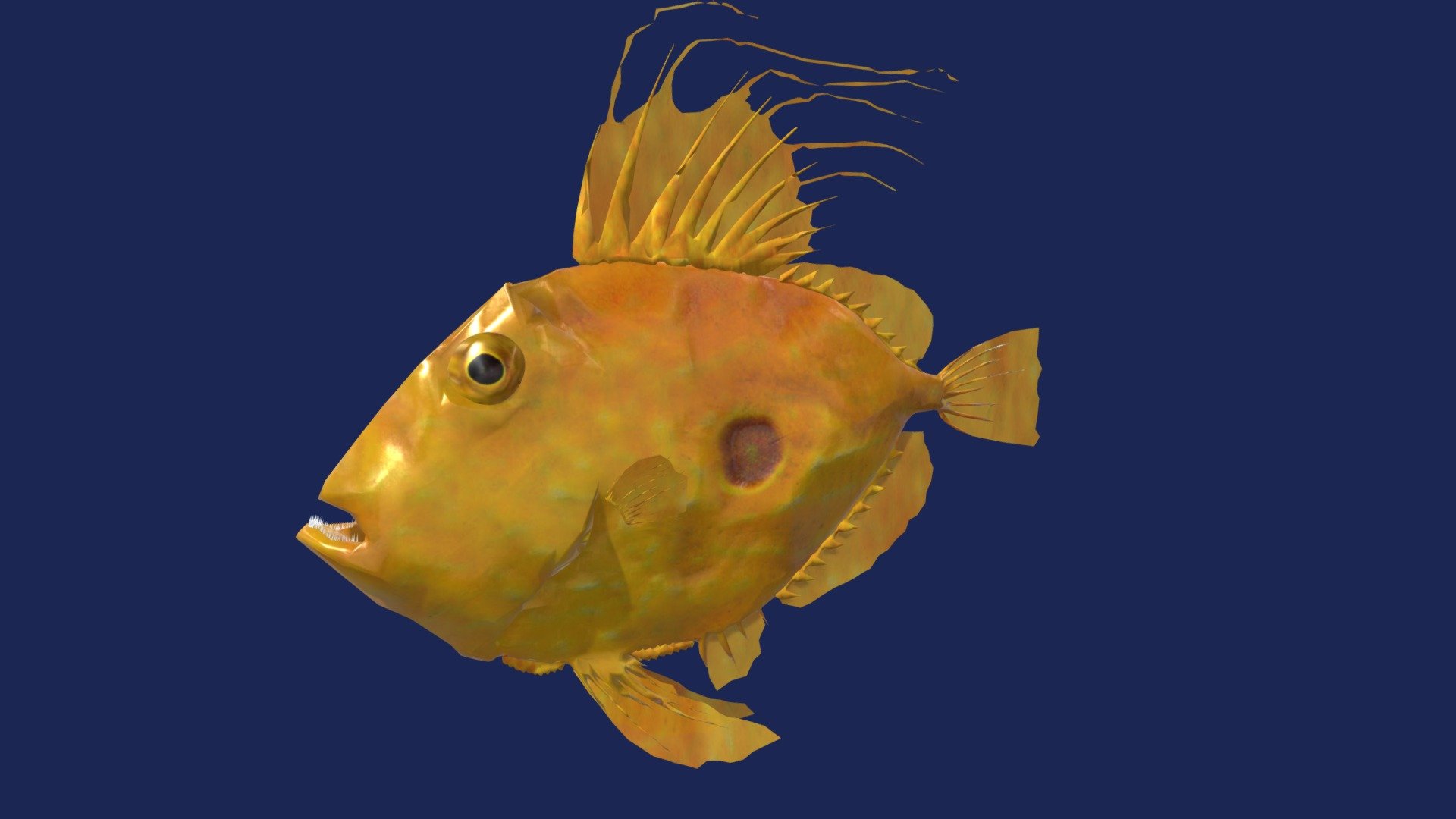 San Pedro Fish