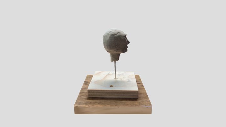 Alyssa Head_001 3D Model