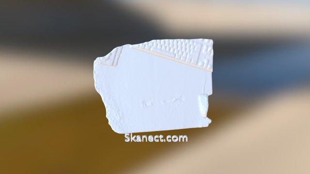 New Skanect Model 3D Model