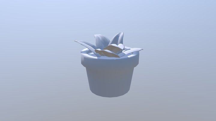 Small House Plant 3D Model