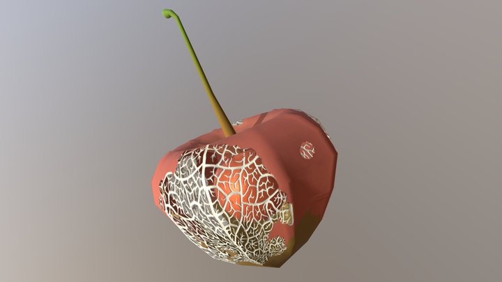 Chineselanturnplant 3D Model