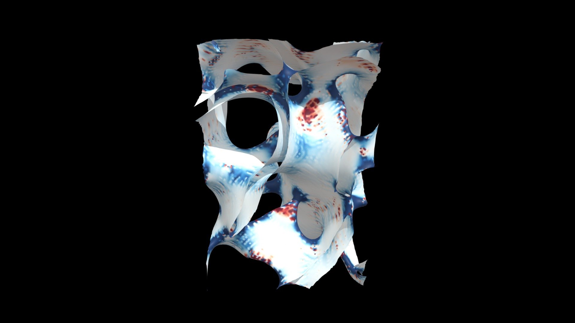 Nasutitermes_5100