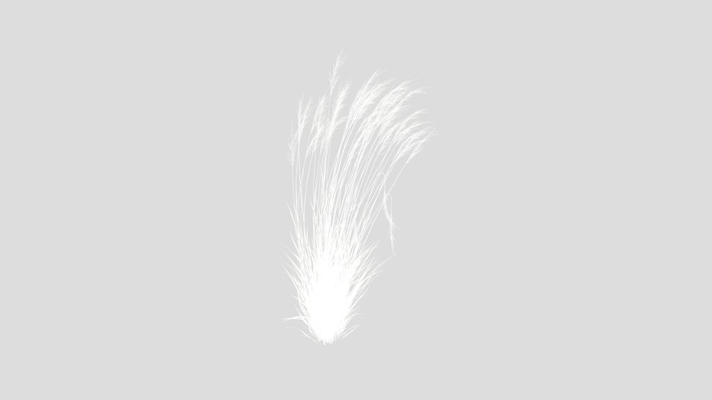 Grass Molinia Caerulea Heidebraut