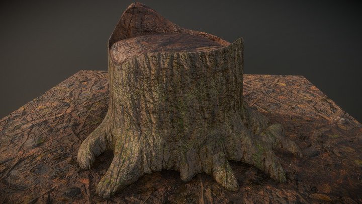 Old tree stump – Modello 3D gratuito STL