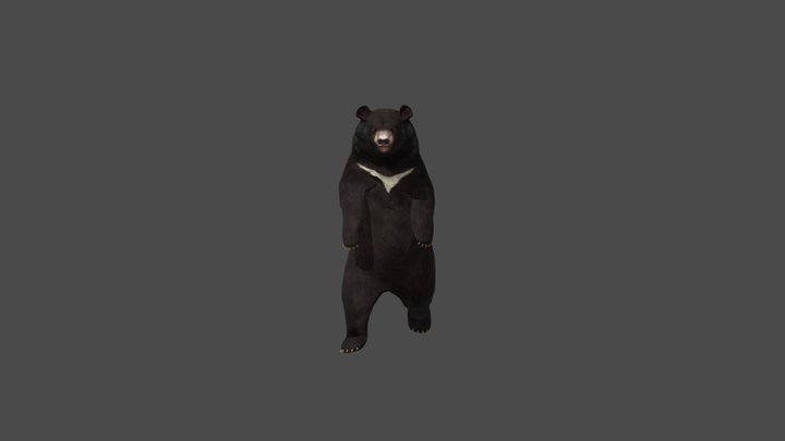 bear_upright_walking 3D Model