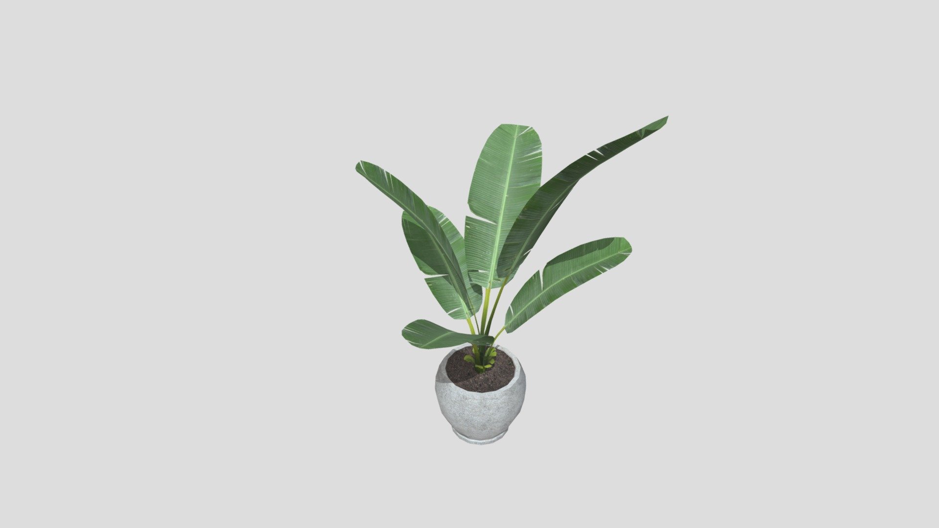 Big Leaves Plant - 3D model by UTheArtStudio [89f7f5a] - Sketchfab