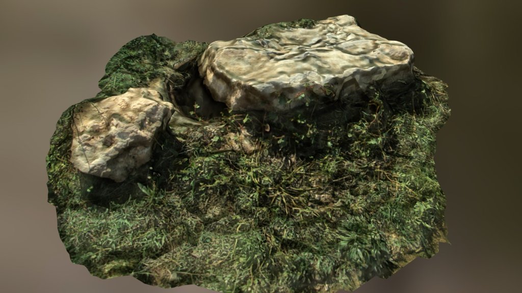 Old Sewer and Stone