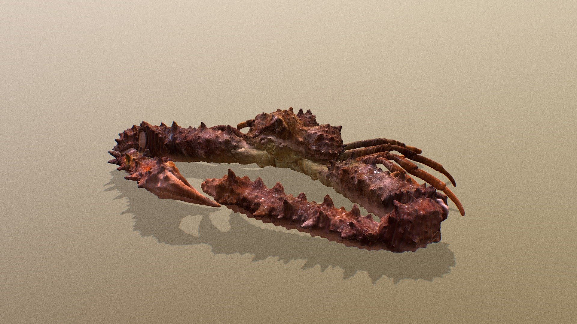 Crab-test - 3D model by Chi-Chun (@Skwerl) [89fd798] - Sketchfab