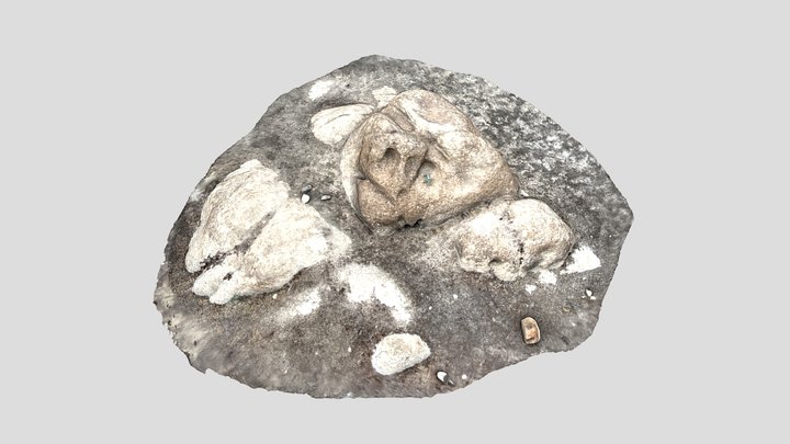 Joshua Tree California Rocks Scan 3D Model