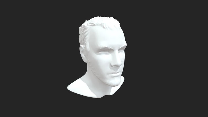 Self-Sculpt(Ultra-Decimated) 3D Model