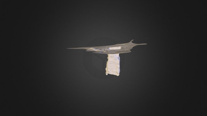 PhoenixBox 3D Model