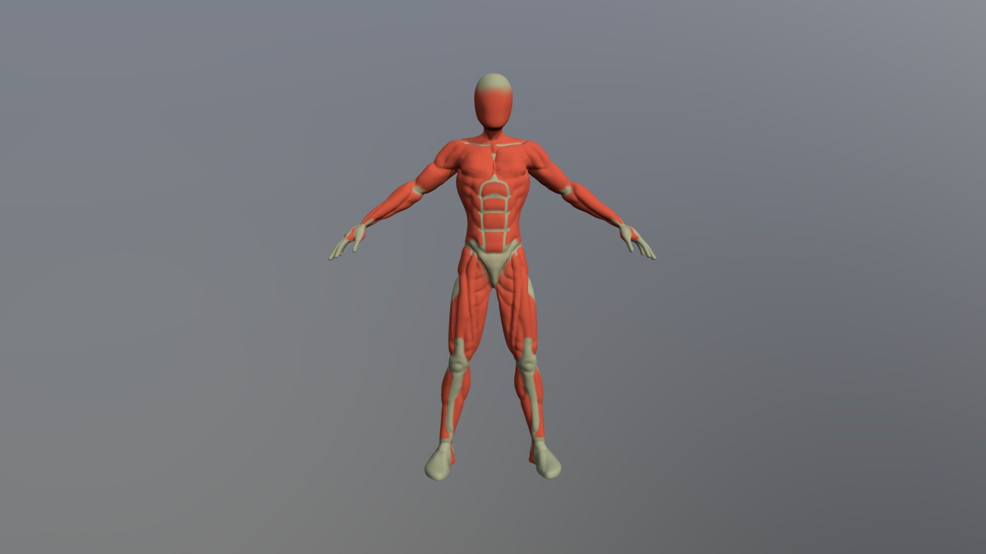 2284_DONNÉ_Erwan_Anatomie_V2