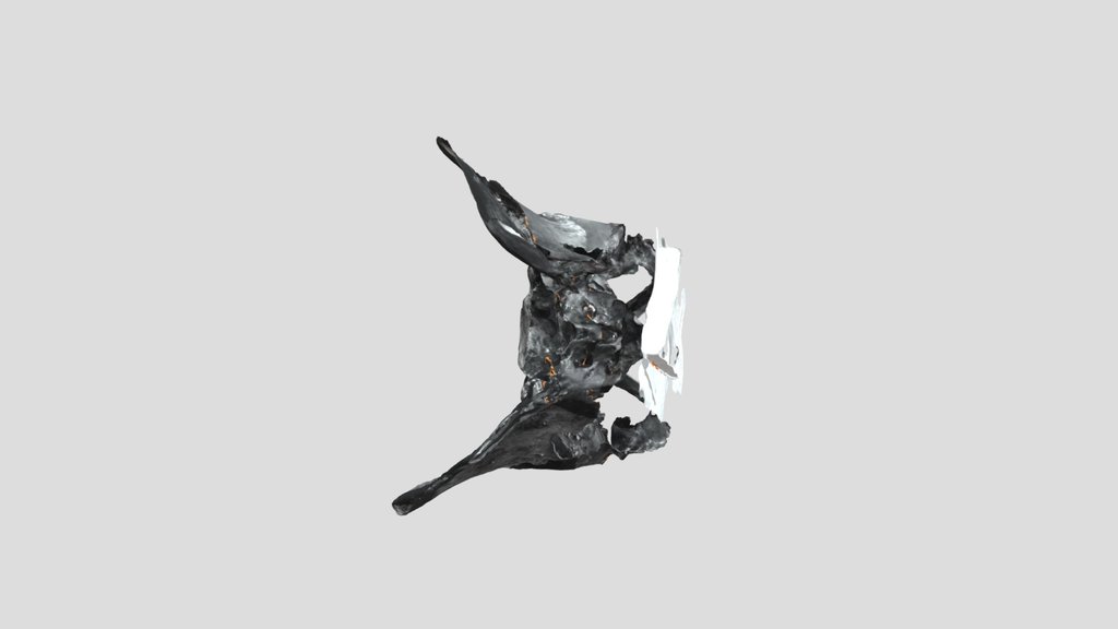 UNC_Scan_29