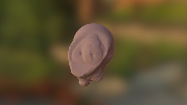 fly pto play 3D Model