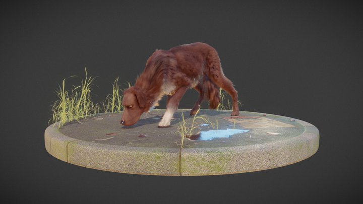 Tramp Dog 3D Model