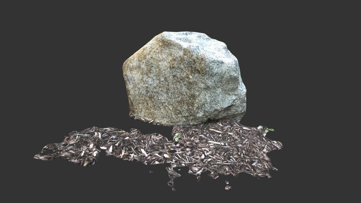 Rock Scan 3D Model
