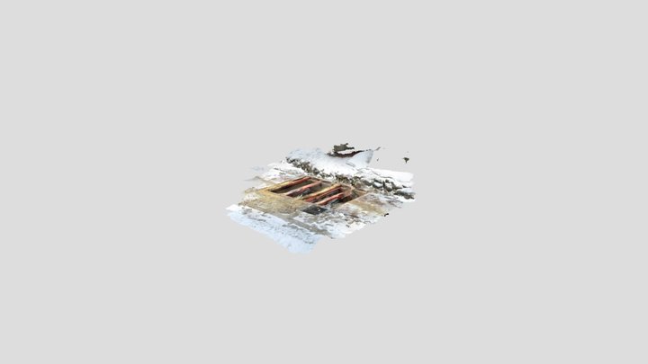 Untitled Scan 3D Model