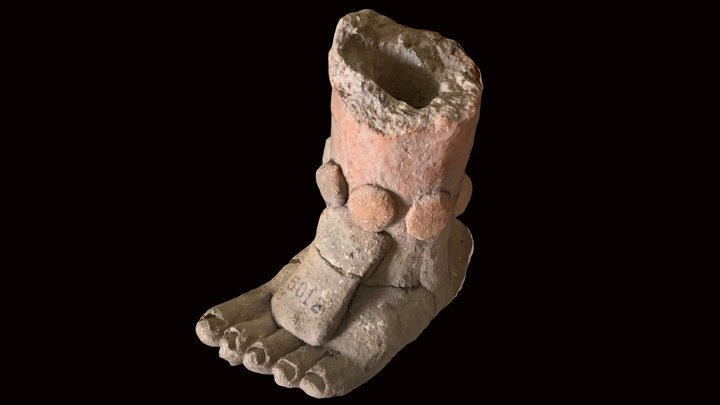Patojo Modeled Foot, Zacpeten (#2) 3D Model