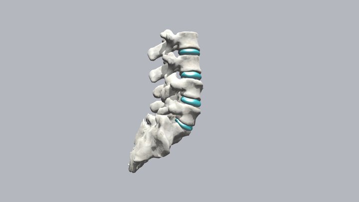 Open Book Spine 3D Model