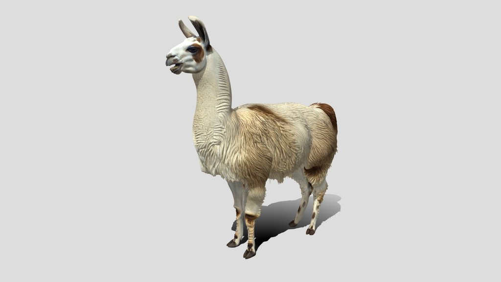 Smiling Llama 🦙 3D Model Free
